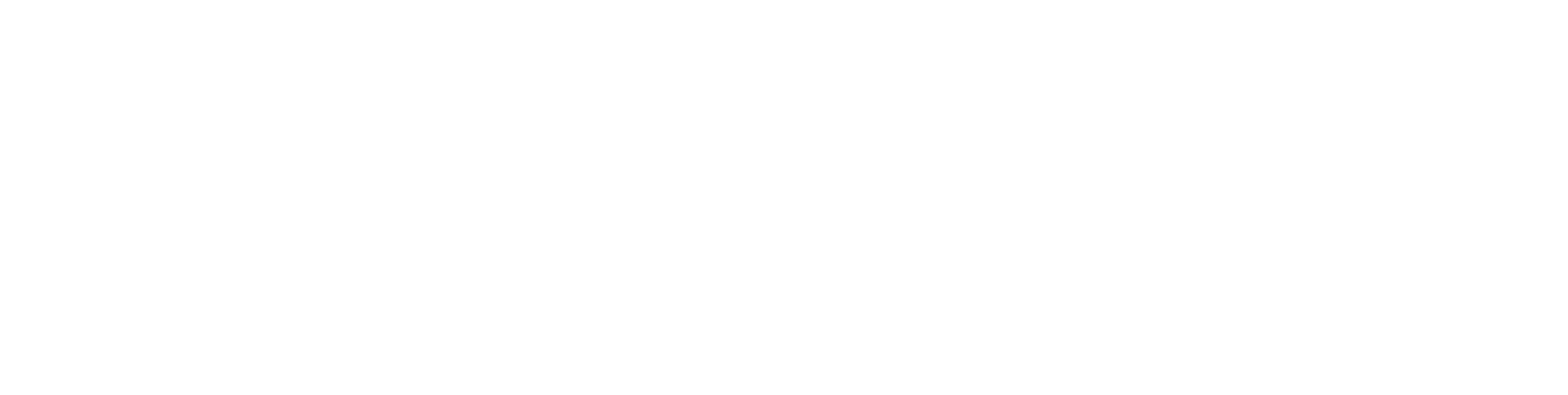 Logo de NewAqua Osmosis